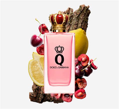 dolce and gabbana perfume q